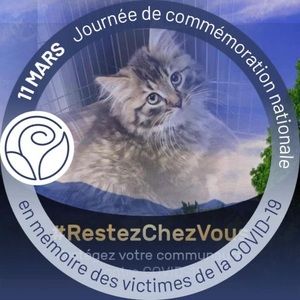 Meet your Posher, Aline